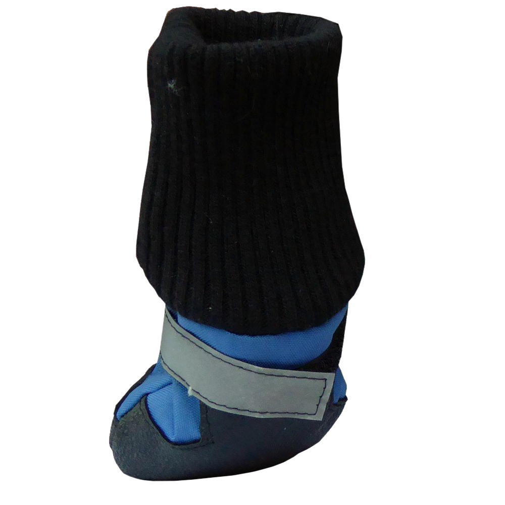 Botas para perros HDP